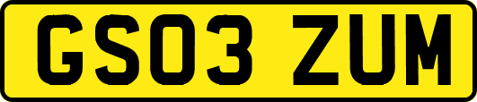 GS03ZUM