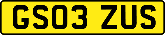 GS03ZUS