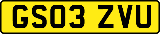 GS03ZVU