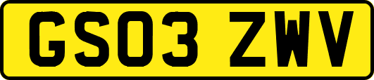 GS03ZWV