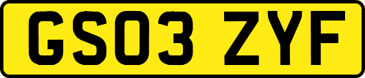 GS03ZYF
