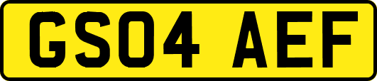 GS04AEF