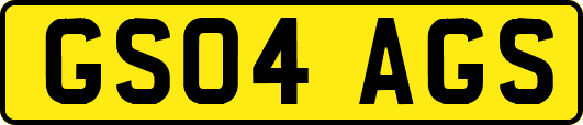 GS04AGS