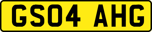 GS04AHG