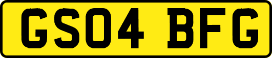 GS04BFG