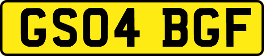GS04BGF