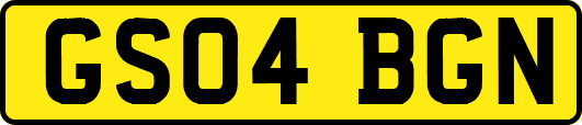 GS04BGN