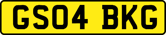 GS04BKG