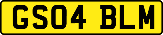 GS04BLM