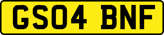 GS04BNF