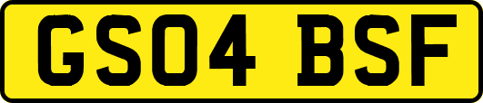 GS04BSF