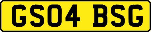 GS04BSG