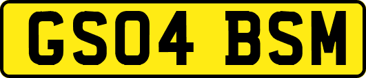 GS04BSM