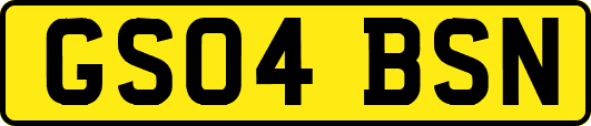 GS04BSN