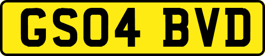 GS04BVD