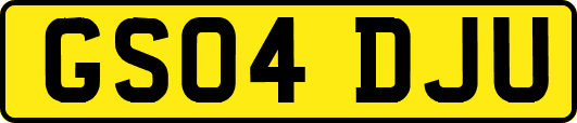 GS04DJU