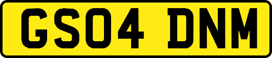 GS04DNM