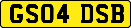 GS04DSB