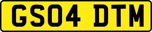 GS04DTM
