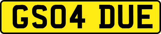 GS04DUE