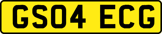 GS04ECG