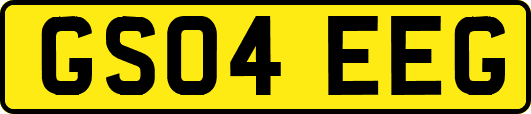 GS04EEG