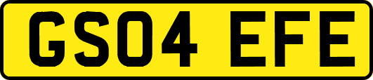 GS04EFE