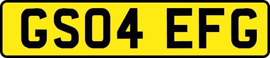 GS04EFG