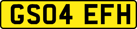 GS04EFH