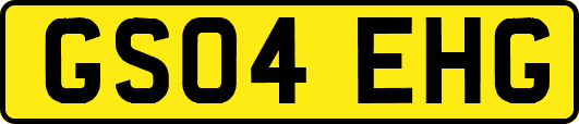 GS04EHG