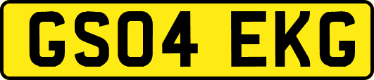 GS04EKG