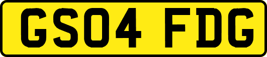 GS04FDG