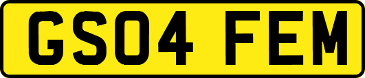 GS04FEM