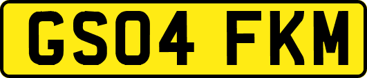 GS04FKM