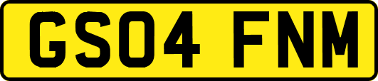 GS04FNM