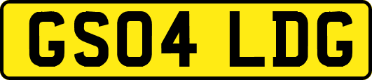 GS04LDG