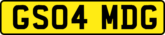 GS04MDG