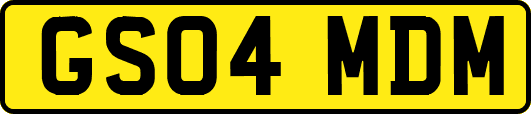GS04MDM