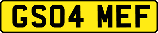 GS04MEF
