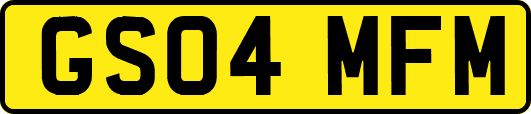 GS04MFM