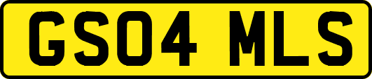 GS04MLS