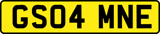 GS04MNE