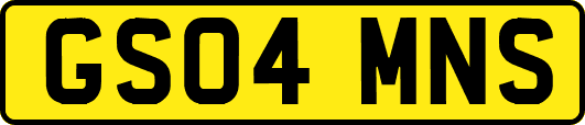 GS04MNS