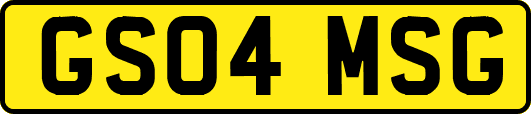 GS04MSG