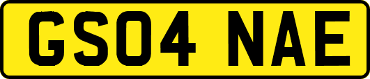 GS04NAE