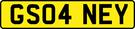 GS04NEY