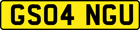 GS04NGU