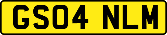 GS04NLM