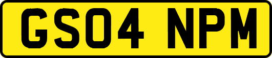 GS04NPM
