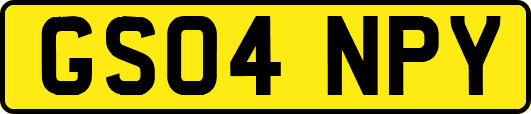 GS04NPY